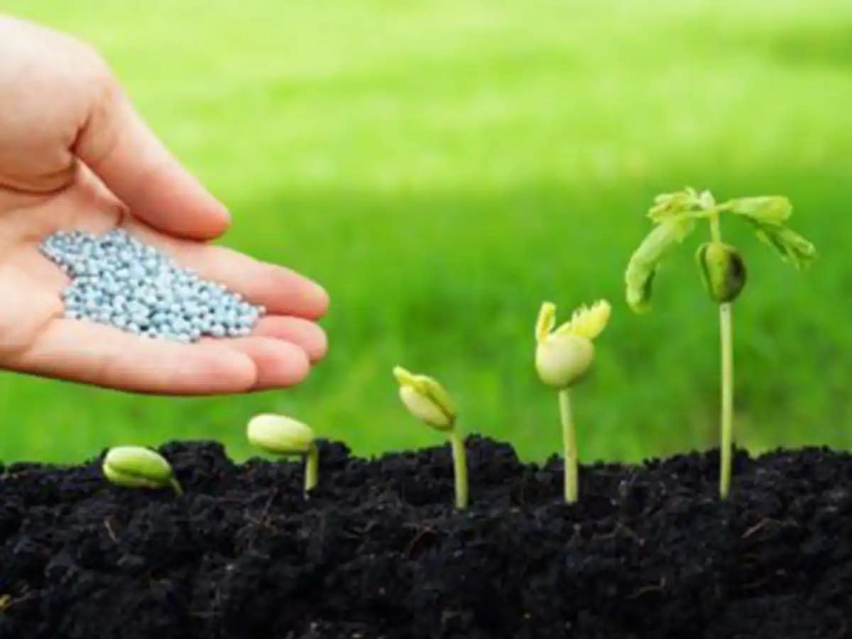 کودهای شیمیایی کشاورزی — کوددهی در مرحلهٔ جوانه‌زنی